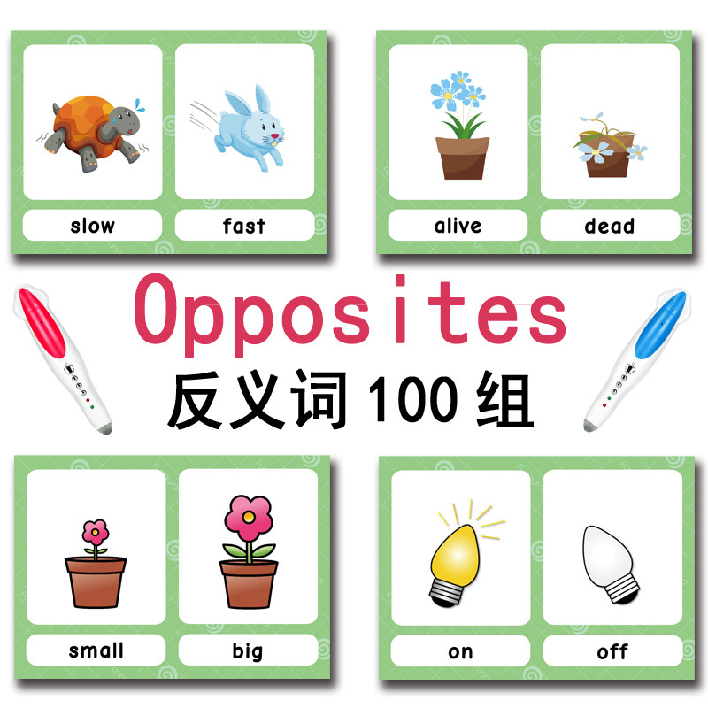 The 100 Groups Opposites Flash - Kids Education Toy recension och pris